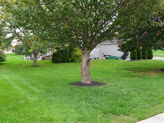 Side Back yard