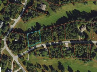 LOT 28 White Pine Dr, Cadillac, MI