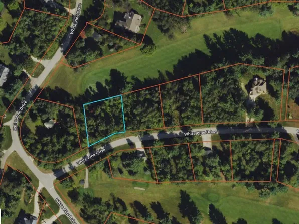 LOT 28 White Pine Dr, Cadillac, MI 49601