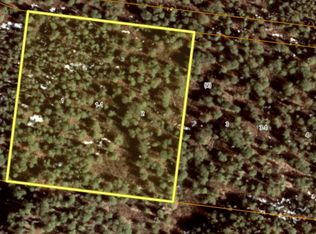 B2 L1 1 Chase #2, Talkeetna, AK 99676