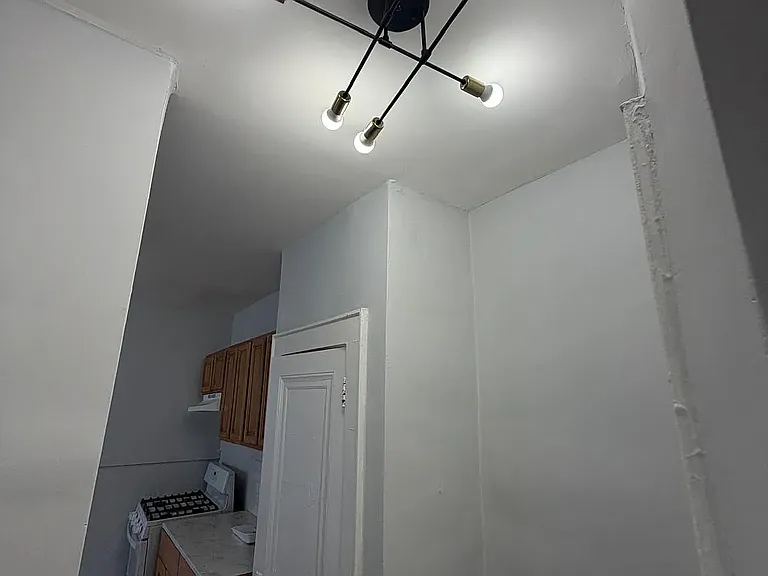 303 Hobson St #2 — Photo 7