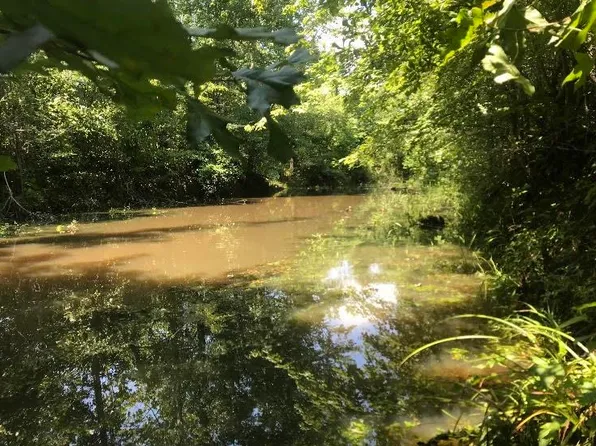 0 Davis Yancey Rd, Michie, TN 38357