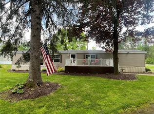 25 Carol Ct, Chenango Forks, NY 13746
