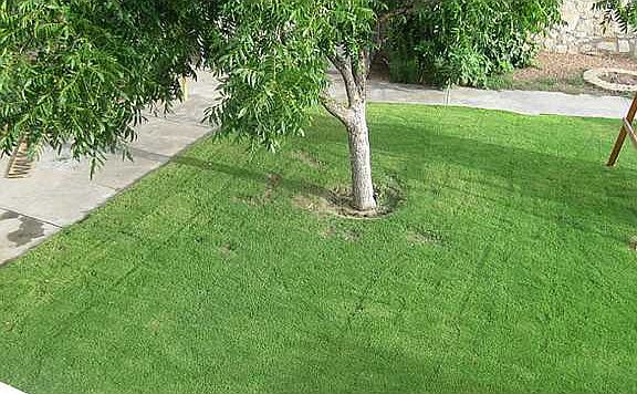5th image of 11534 Clear Lake Way