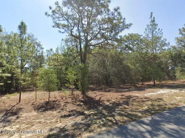 2684 W Angola Dr, Beverly Hills, FL 34465
