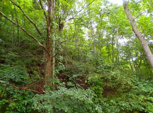 Tbd Tiger Creek Rd, Roan Mountain, TN 37687