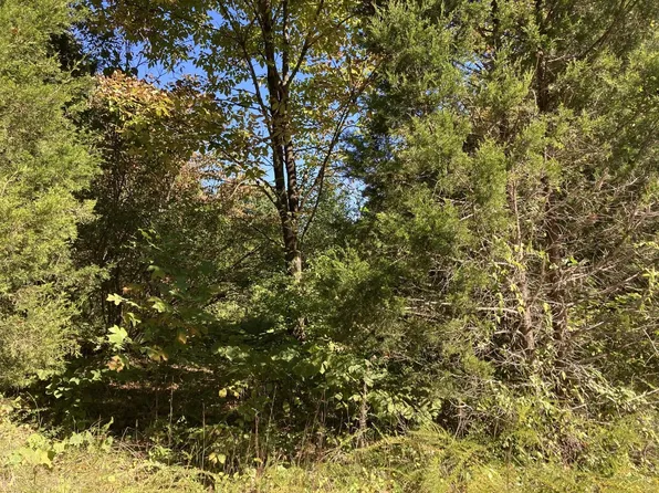 S White Oak Dr, Marengo, IN 47140