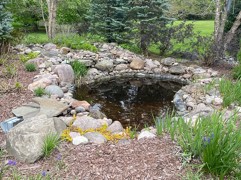 Back yard pond.