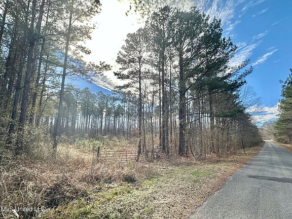 5th image of 4 Prentiss Crump Rd