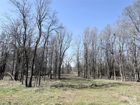 14 Lakewood Dr, Whitney, TX 76692