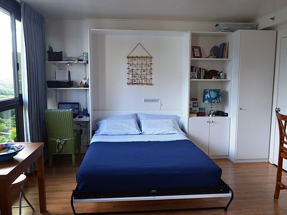 Murphy bed open with a queen matress.