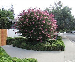 3rd image of 3505 Joanna Dr
