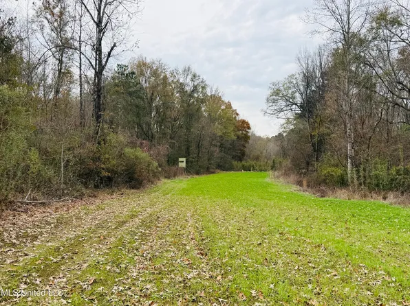 1445 Parsons Rd, Raymond, MS 39154