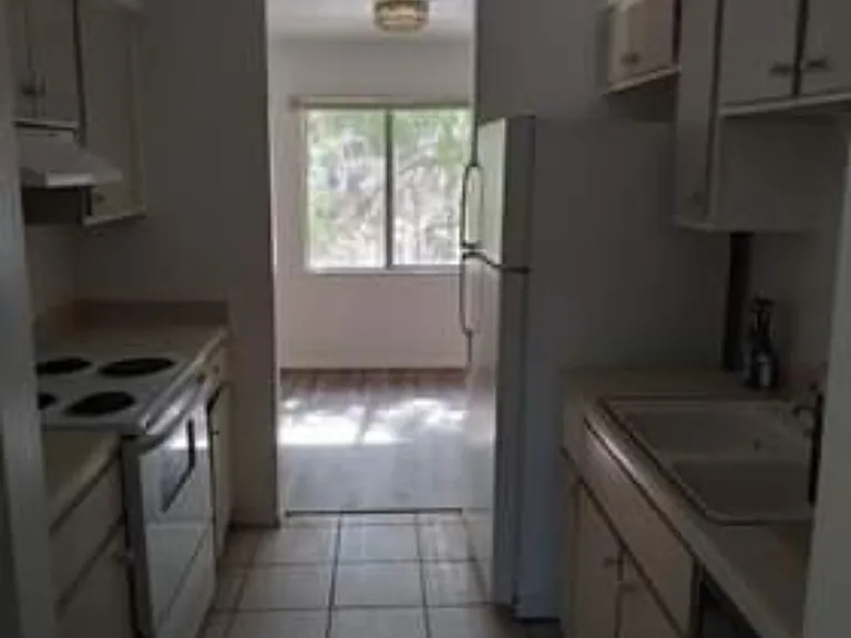7514 Needle Leaf Pl #D — Photo 5