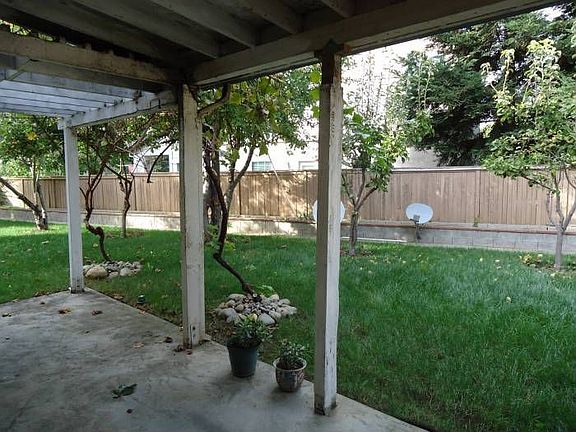 Backyard & Patio