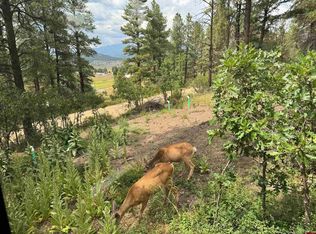 599 Pineview Rd, Pagosa Springs, CO 81147