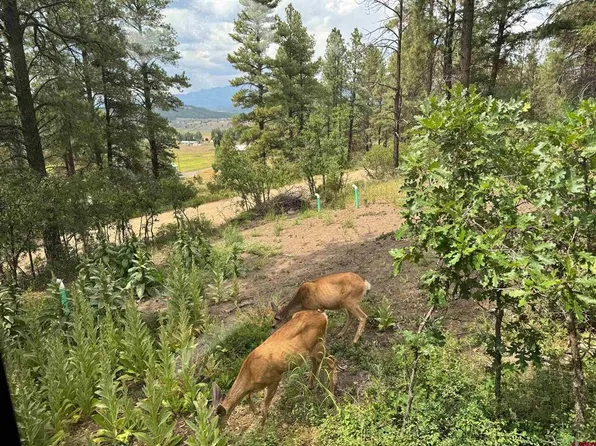 599 Pineview Road, Pagosa Springs, CO 81147