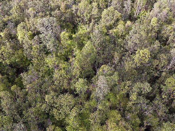 4th image of Lehua St Lot 6838