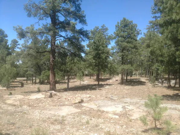 2863 Timber Ridge Cir, Happy Jack, AZ 86024