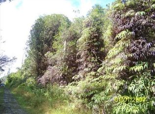 Thorne St, Mountain View, HI 96771