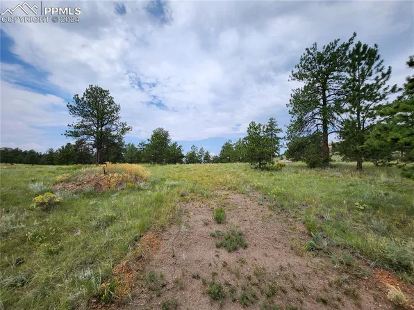 2576 Southpark Rd, Florissant, CO 80816