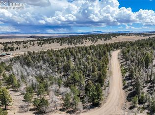 1430 Singletree Rd, Hartsel, CO 80449