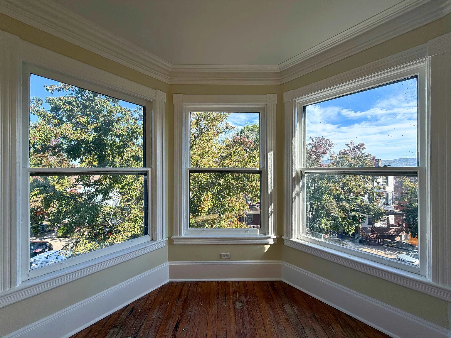 1 bed, 800 sqft, $1,750 — Photo 2