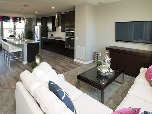 Model Representation