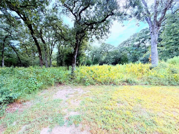 Trailride, Hilltop Lakes, TX 77871