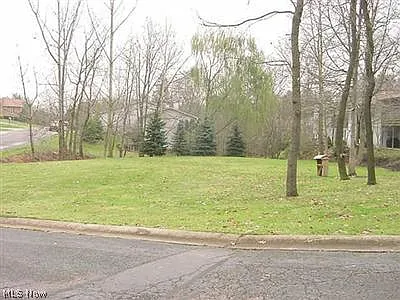 Forest Dr photo 1