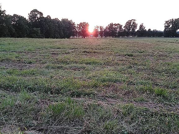 4th image of 13350 Hershey Dr