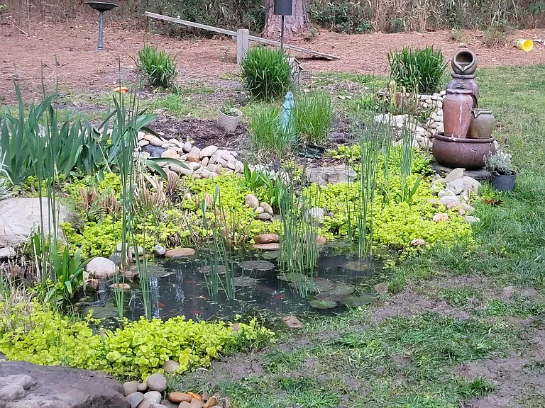10 Goldenrod Dr — Photo 10