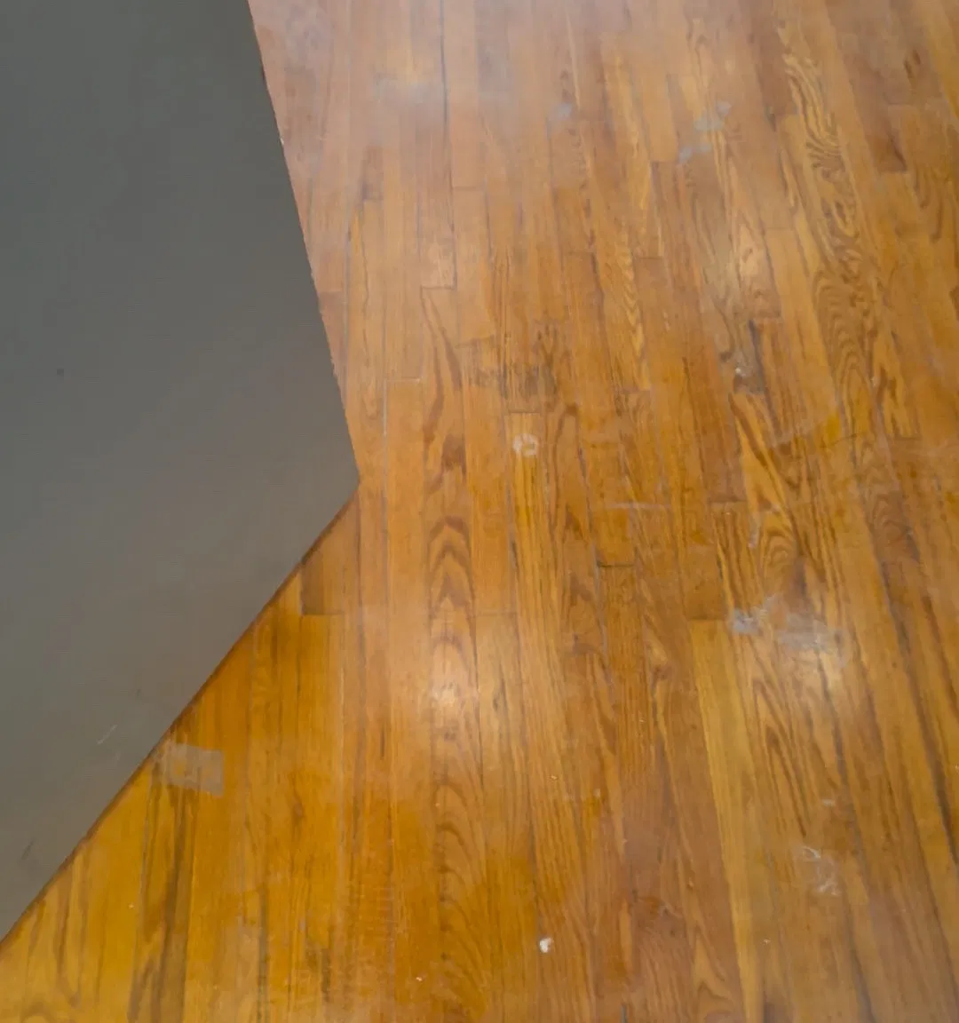 1 bed, $1,675 — Photo 2