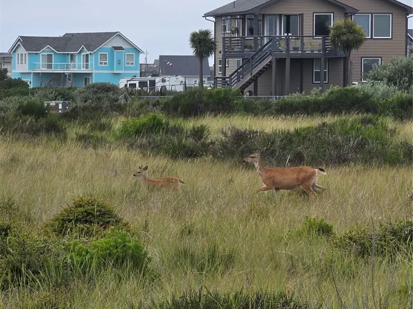 1440 Ocean Crest Avenue SW, Ocean Shores, WA 98569