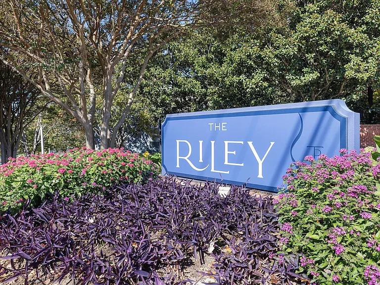The Riley — Photo 24