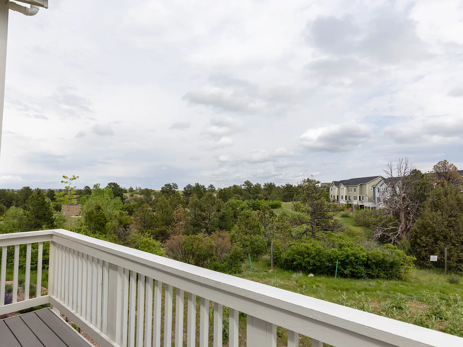 806 Bishop Pine Way — Photo 4