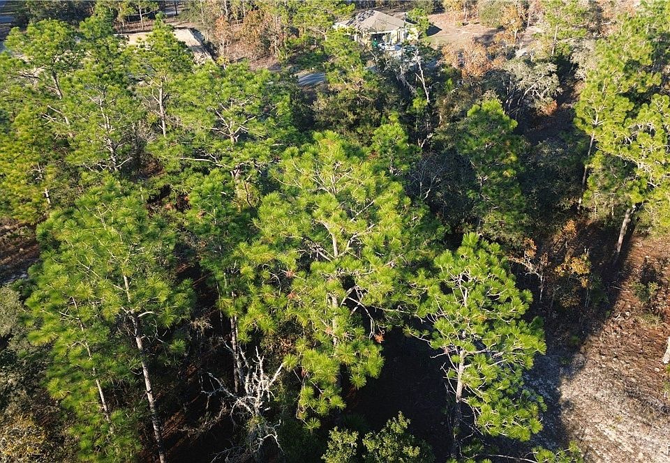 1st image of 2959 W Admiral Ln