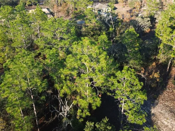 2959 W Admiral Ln, Citrus Springs, FL 34433