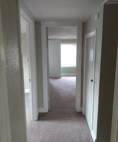 1315 N Dixie Ave #U — Photo 12
