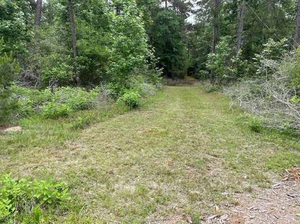 11544 Inspiration Dr, Willis, TX 77378