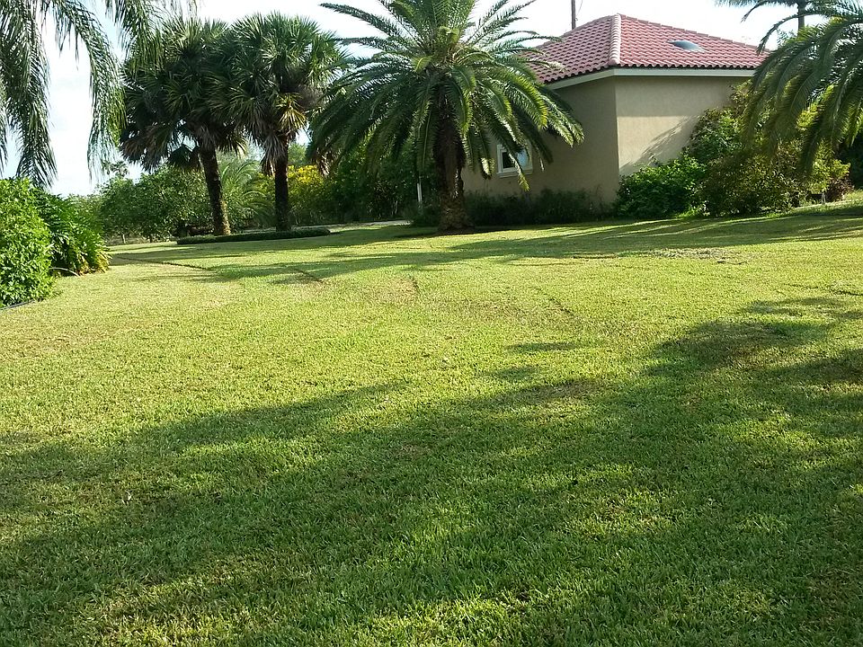 N side of house.