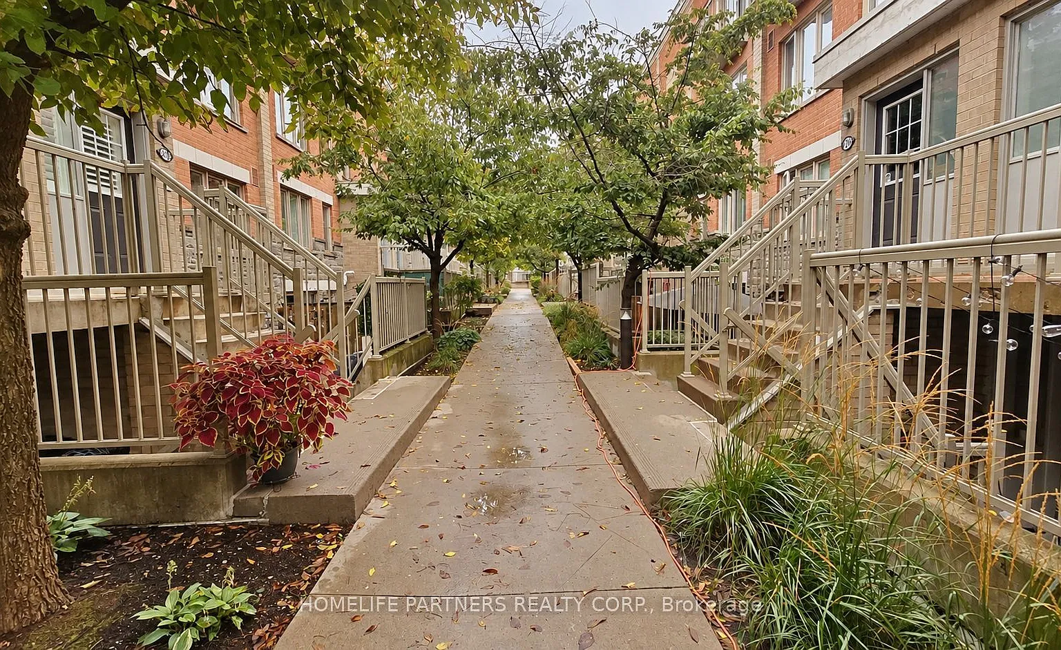 3 bed, $2,800 — Photo 2
