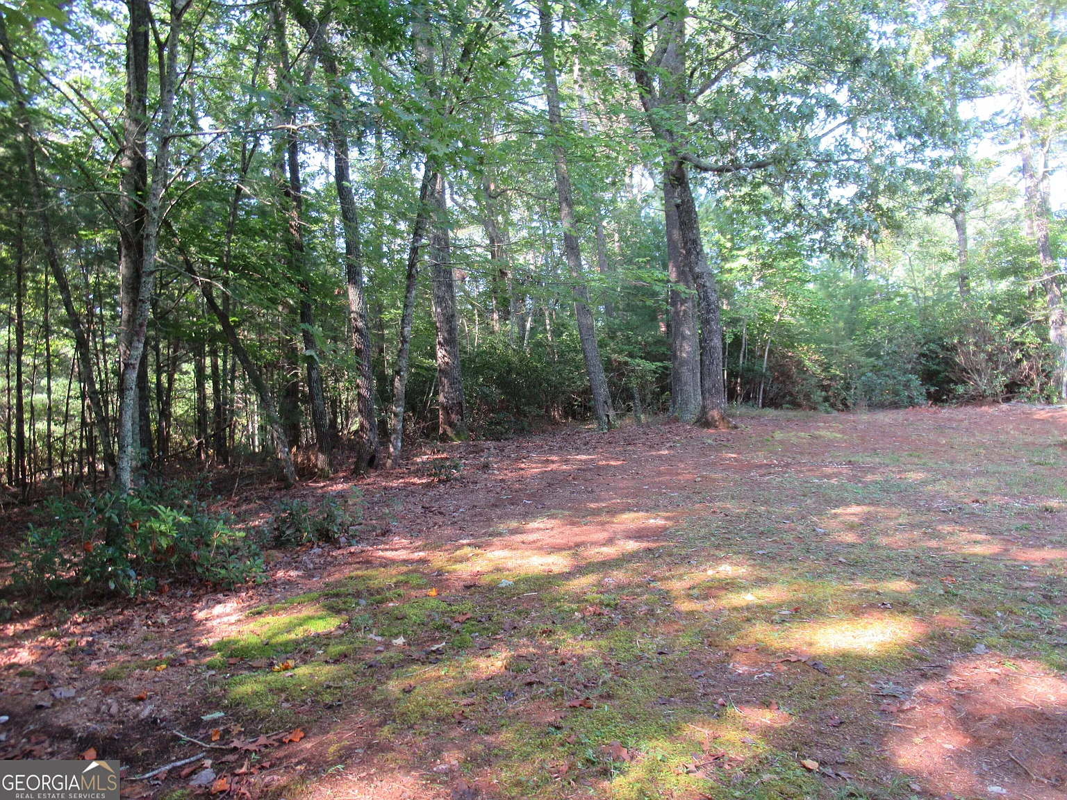 3 bed, 2.0 bath, 960 sqft, $1,600 — Photo 4