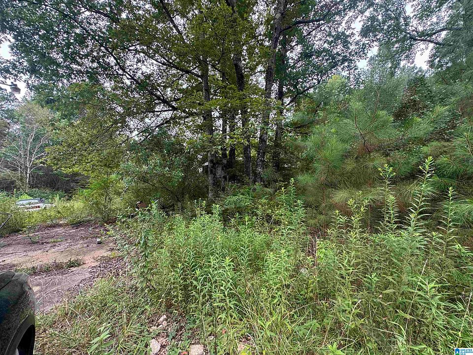 1st image of 204 County Road 3055