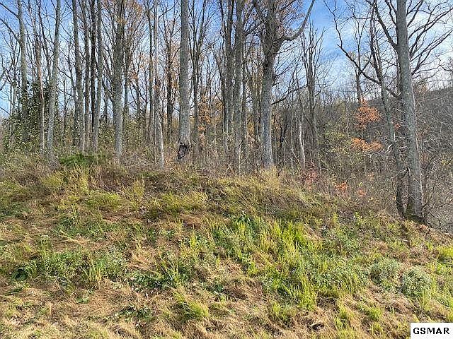 2nd image of 37 Stone Fence Ln Lot 37