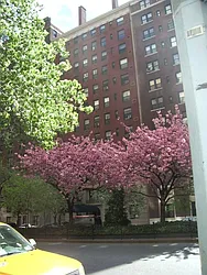 Rented by Nest Seekers International