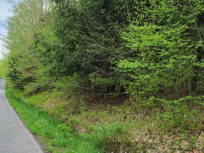 0 Pine Hill Rd, Sidney, NY, 13838