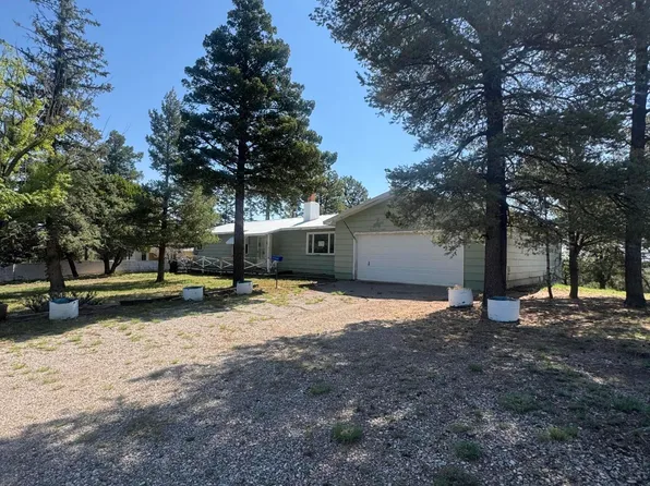 124 Snow Park Rd, Alto, NM 88312