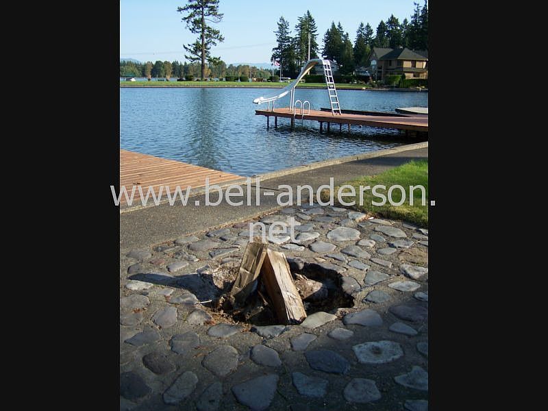 Private docks & fire pit