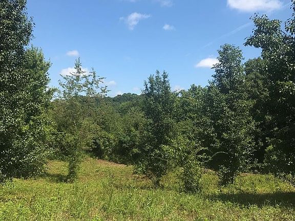 2nd image of 3 Piney Rd Lot 3R